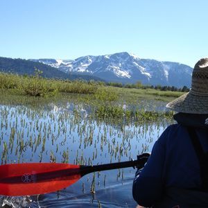 Meet your Posher, Gerry